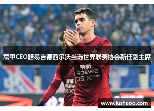 意甲CEO路易吉德西尔沃当选世界联赛协会新任副主席
